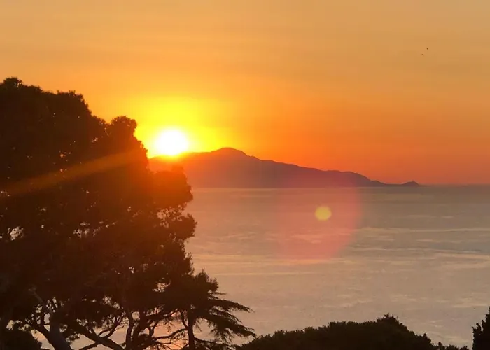 別荘 Casa Cantasol - カプリ